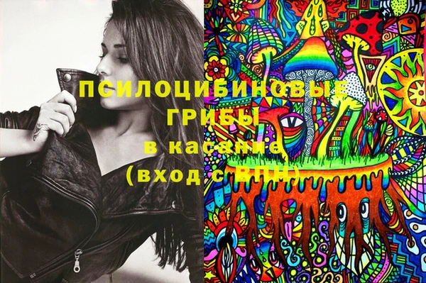 спайс Баксан
