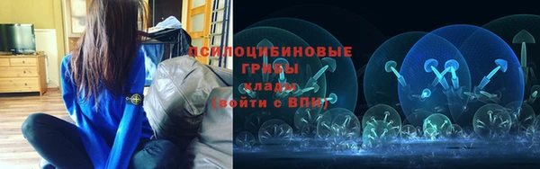 спайс Баксан