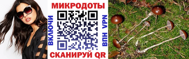 как найти наркотики Семилуки Псилоцибиновые грибы прущие грибы