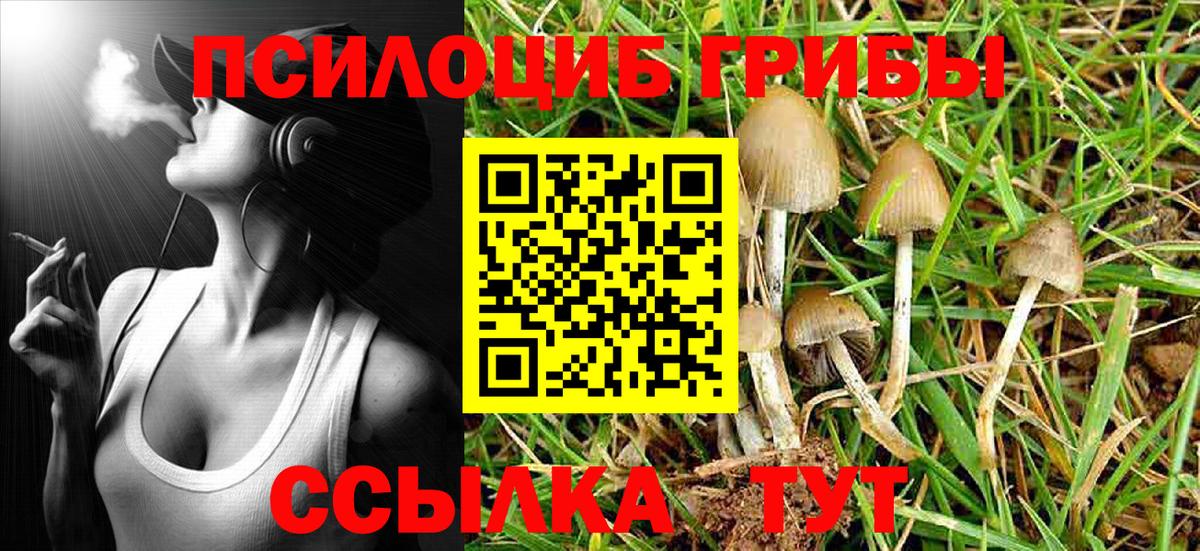 Псилоцибиновые грибы мухоморы Семилуки