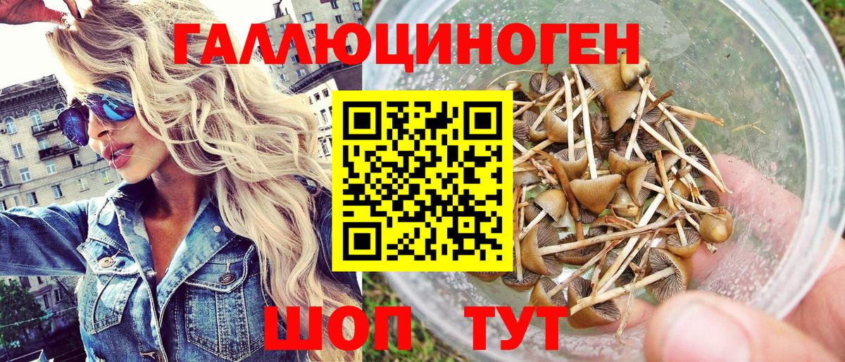 Псилоцибиновые грибы MAGIC MUSHROOMS  Псилоцибиновые грибы Cubensis  Семилуки  Вход с VPN 